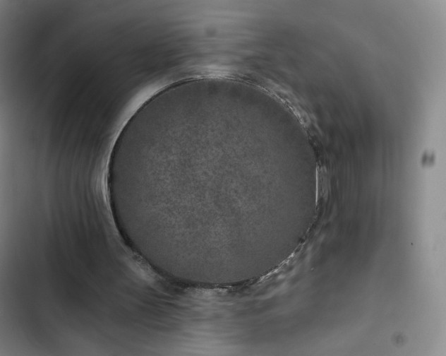 X0000102850147200808251210