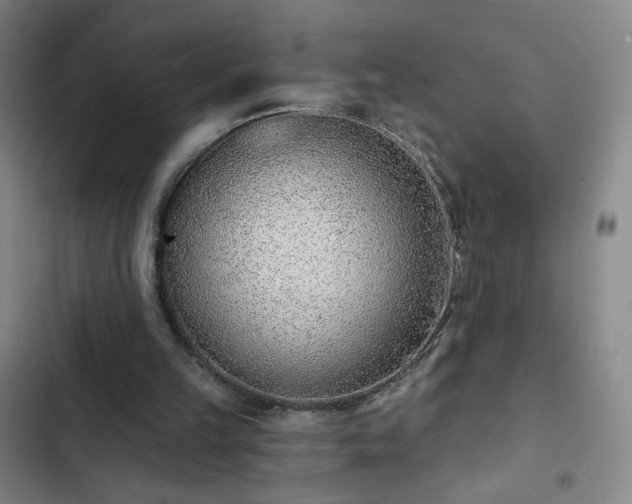 X0000102850149200808251210