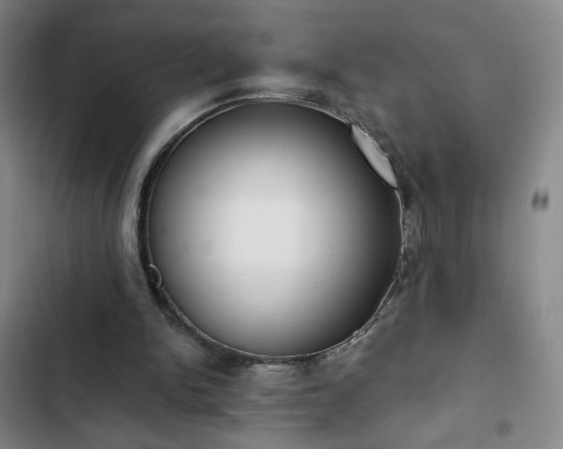 X0000102850150200808251211