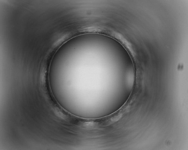 X0000102850153200808251211