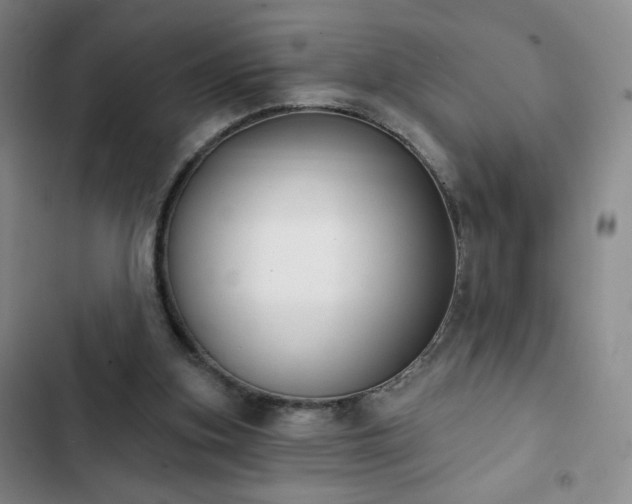 X0000102850155200808251211