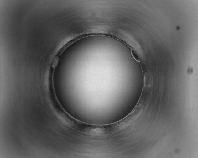 X0000102850156200808251211
