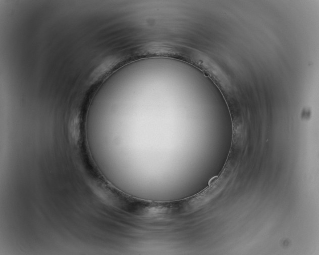 X0000102850158200808251211
