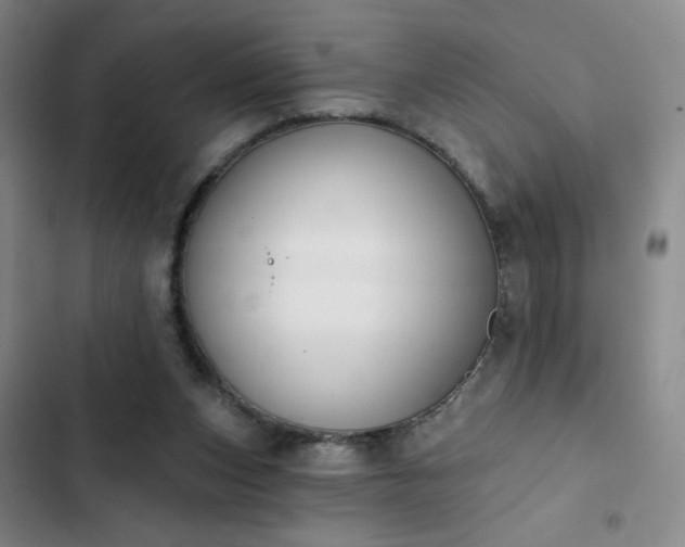 X0000102850159200808251211