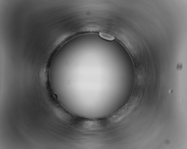 X0000102850160200808251211