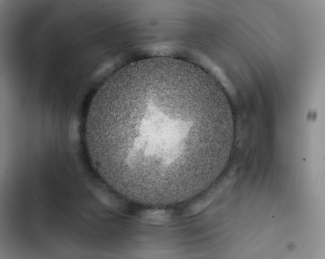 X0000102850161200808251211