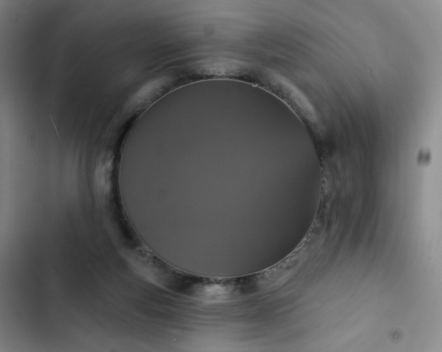 X0000102850163200808251211