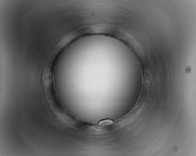 X0000102850164200808251211