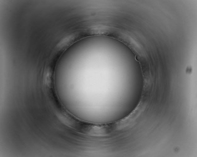 X0000102850166200808251211