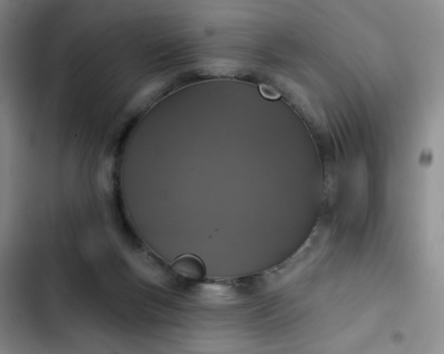 X0000102850167200808251211