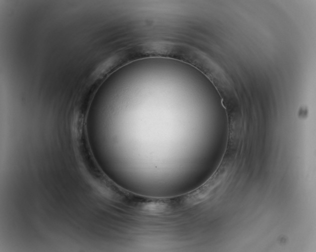 X0000102850168200808251211