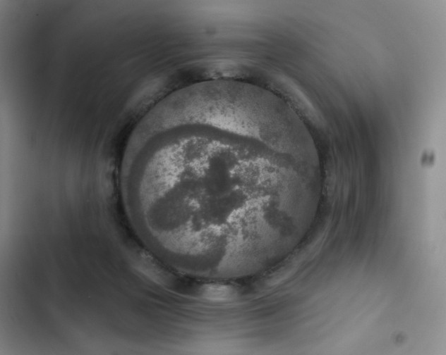X0000102850169200808251211
