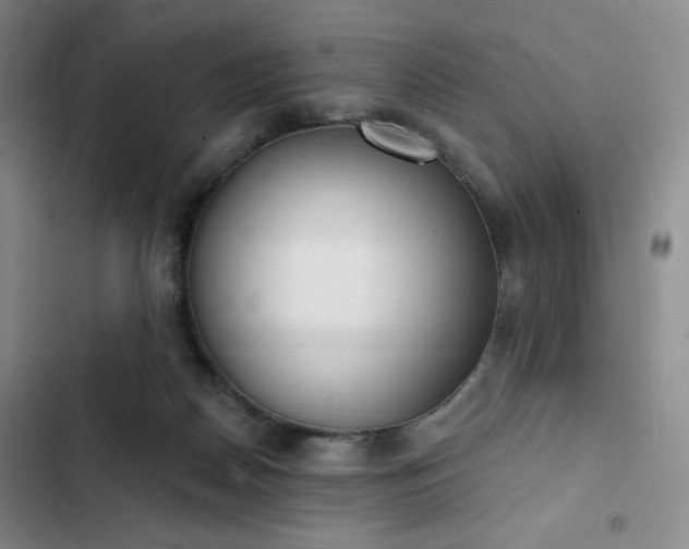 X0000102850170200808251211