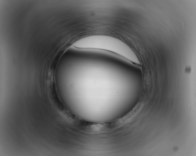 X0000102850172200808251211