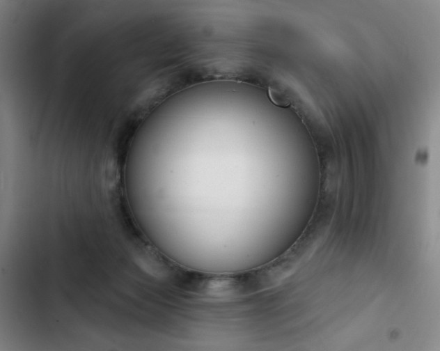 X0000102850173200808251211