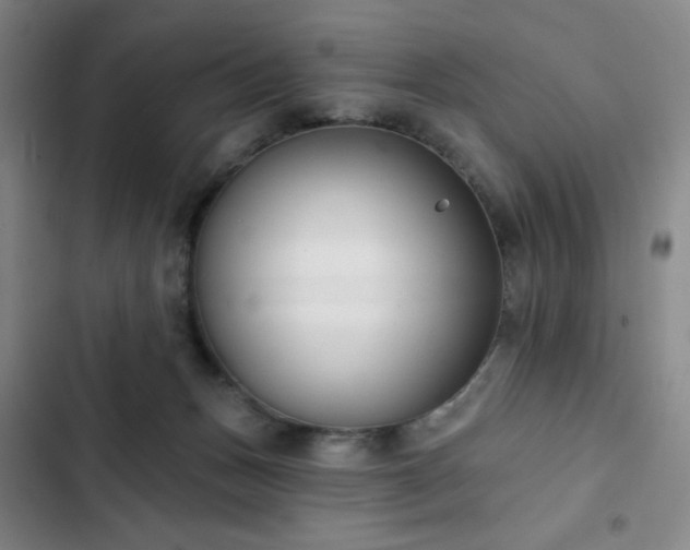 X0000102850175200808251211