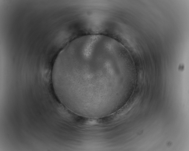 X0000102850177200808251211