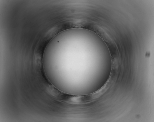 X0000102850178200808251211