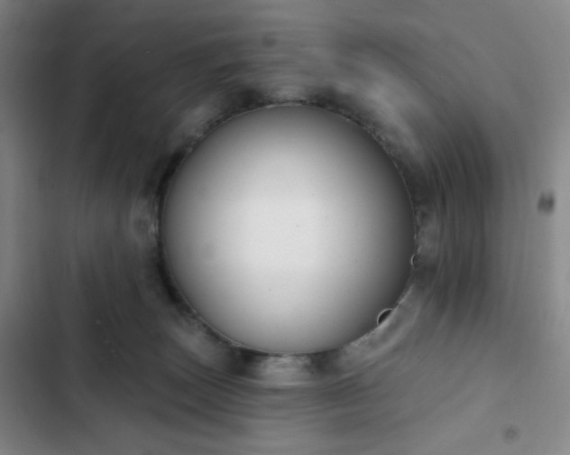 X0000102850179200808251211