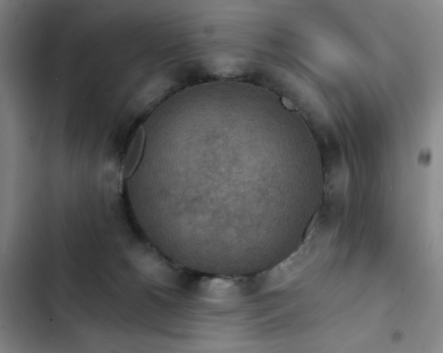 X0000102850180200808251211