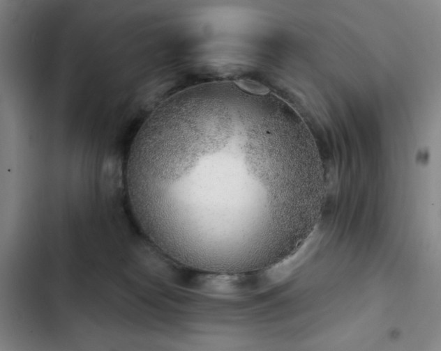X0000102850182200808251211