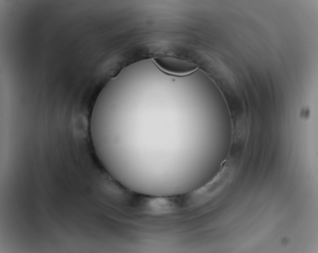 X0000102850183200808251211