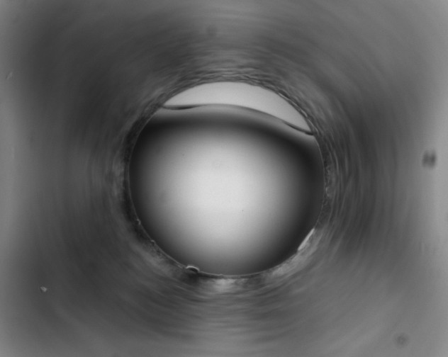 X0000102850184200808251211