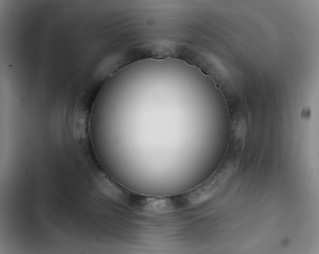 X0000102850185200808251211