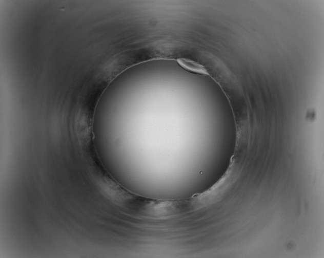 X0000102850186200808251211