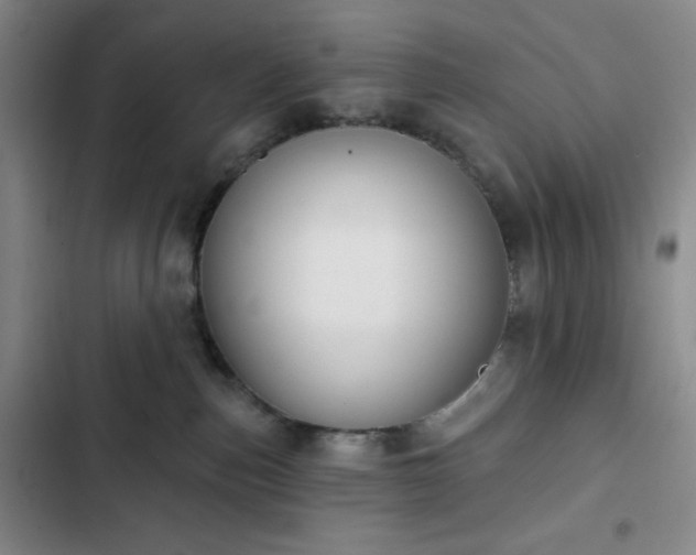 X0000102850187200808251211