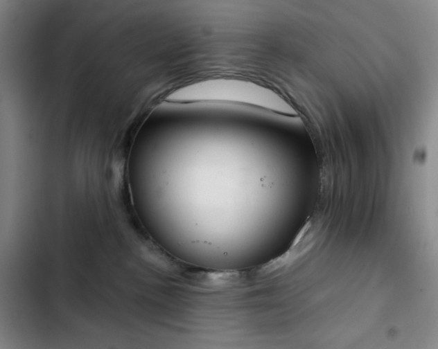 X0000102850188200808251211