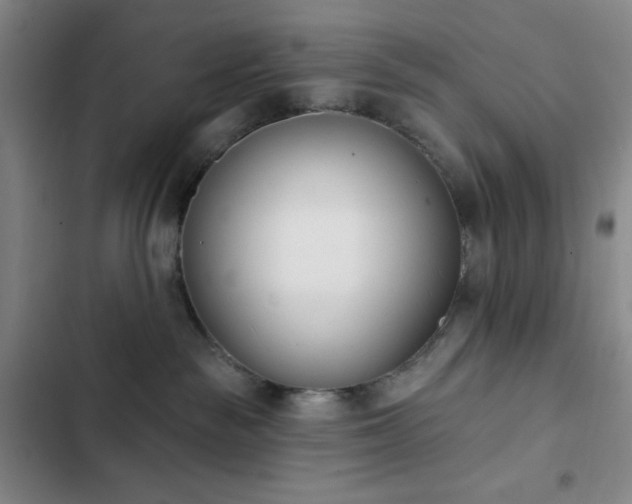 X0000102850189200808251211