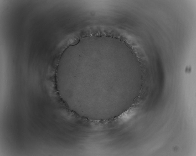 X0000102850192200808251211