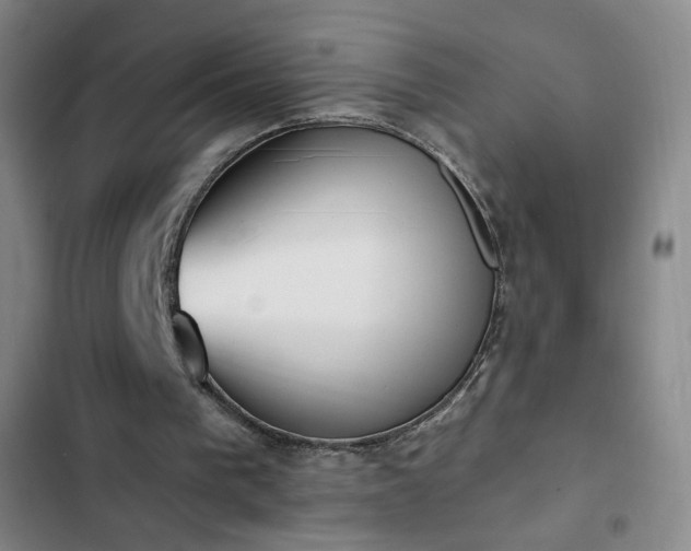 X0000102850193200808251210