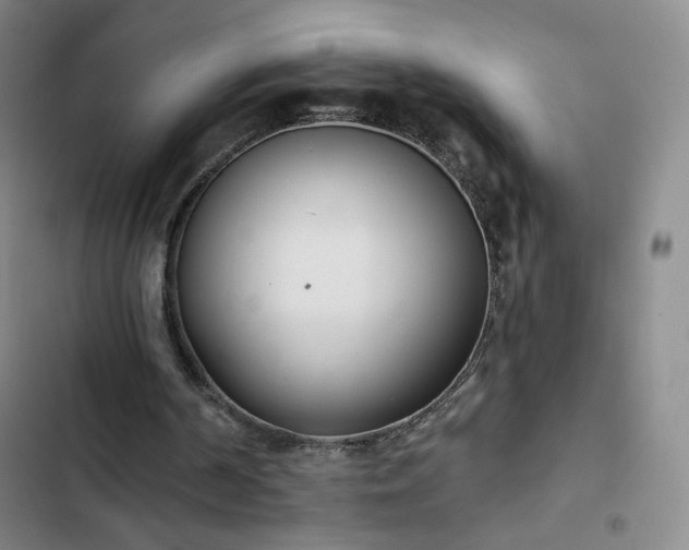 X0000102850194200808251210
