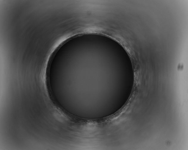 X0000102850196200808251210