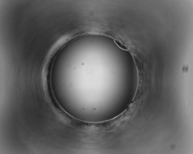 X0000102850197200808251210