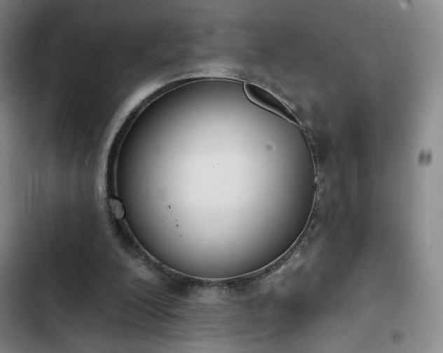 X0000102850200200808251210