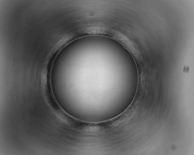 X0000102850202200808251210