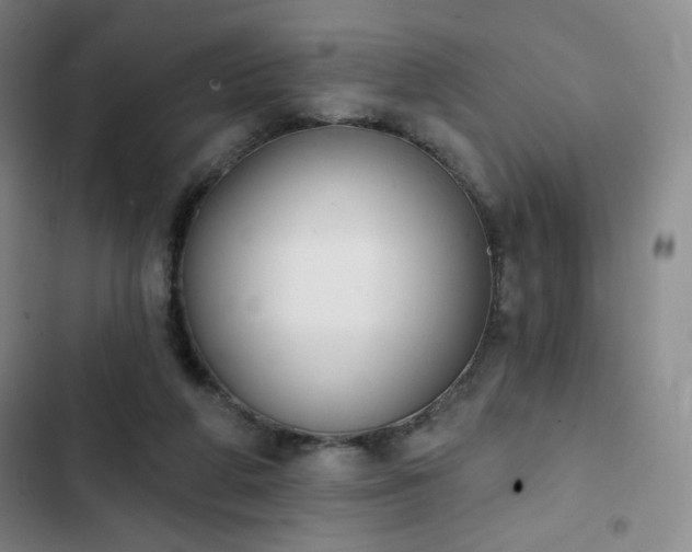 X0000102850210200808251210
