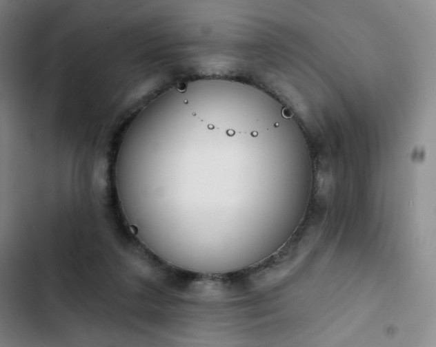 X0000102850211200808251210