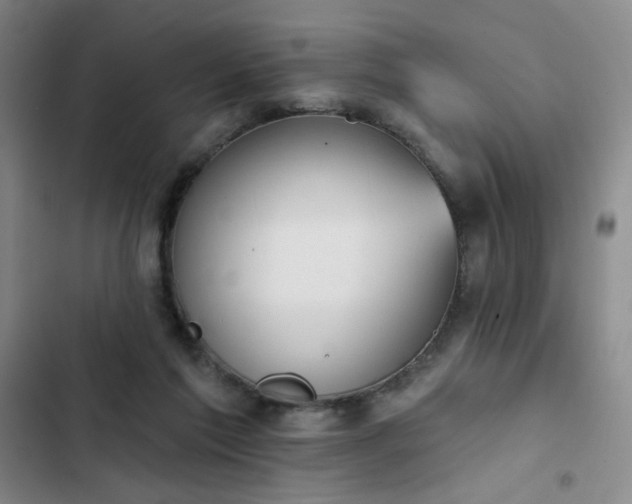 X0000102850213200808251210