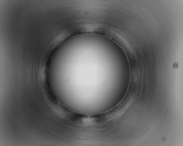 X0000102850216200808251210