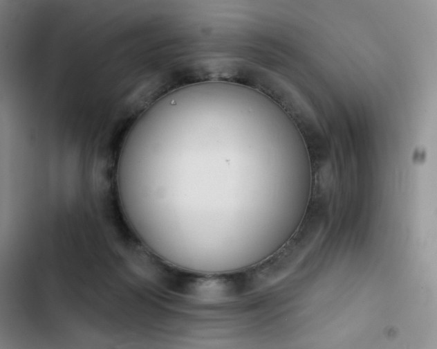 X0000102850218200808251210