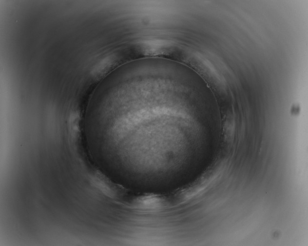 X0000102850219200808251210