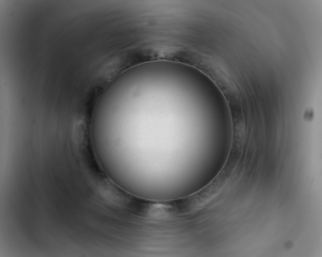 X0000102850222200808251210