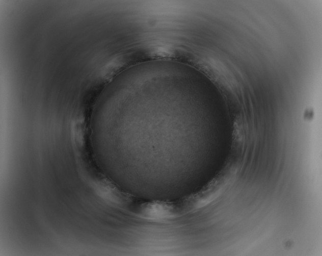 X0000102850223200808251210