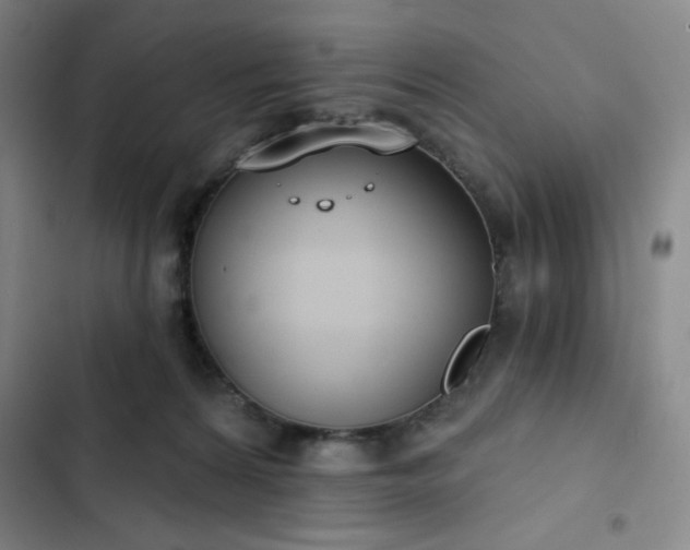 X0000102850224200808251210