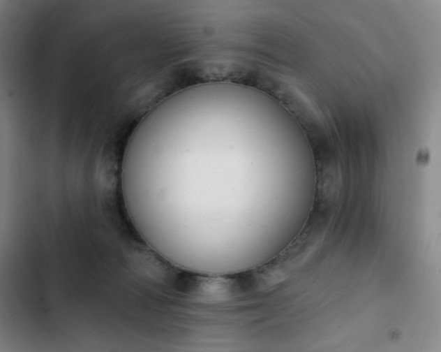 X0000102850226200808251210