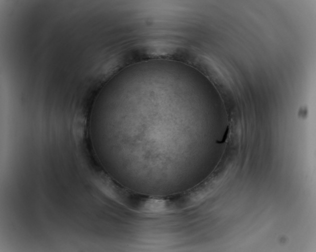 X0000102850227200808251210